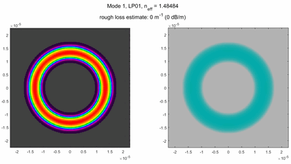 Animated simulation of the guided modes in the OAM fibre